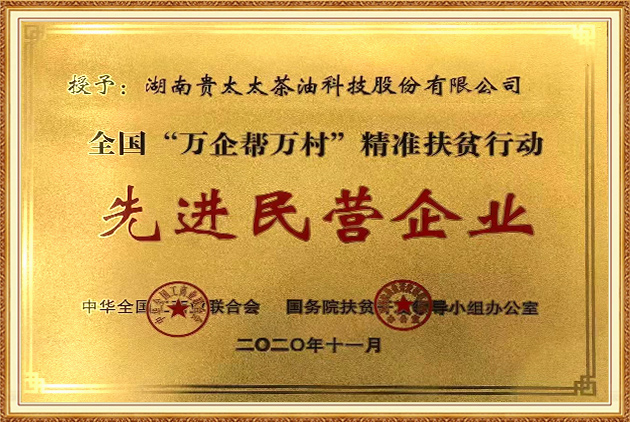 全國“萬企幫萬村”精準(zhǔn)扶貧行動(dòng)先進(jìn)民營企業(yè)