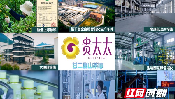 “貴太太”甘二酯山茶油 開啟茶油產(chǎn)業(yè)創(chuàng)新新紀元