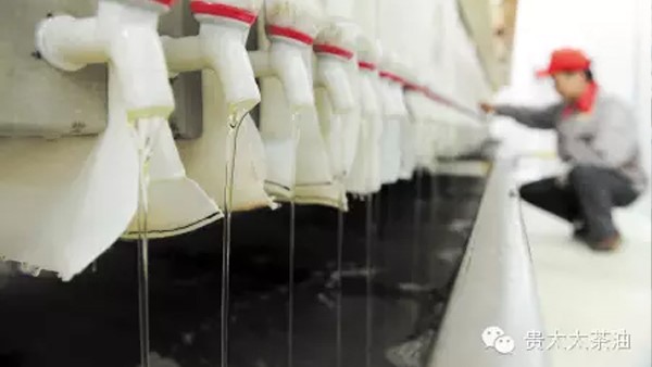 【長(zhǎng)沙晚報(bào)】湖南貴太太帶兩萬(wàn)農(nóng)戶奔小康