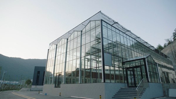 大國戰(zhàn)略博弈生物制造，合成生物企業(yè)如何把握百年機(jī)遇？