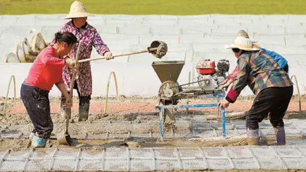 湖南日?qǐng)?bào)丨聚力打造“生物制造谷”——常德貫徹落實(shí)全國兩會(huì)精神，推動(dòng)合成生物制造產(chǎn)業(yè)高質(zhì)量發(fā)展