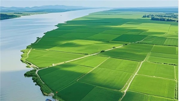 湖南省糧食和物資儲備科技活動周?？禾匚炙梗ㄙF太太）集團“食用植物油關(guān)鍵技術(shù)突破及產(chǎn)業(yè)創(chuàng)新發(fā)展實踐—以貴太太甘二酯山茶油為例”